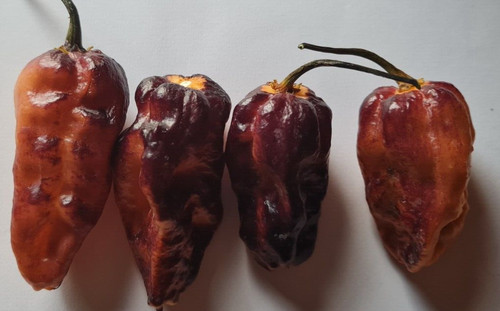 Bhut neyde orange - bhut,