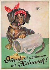 Bassotto con birra La sete è