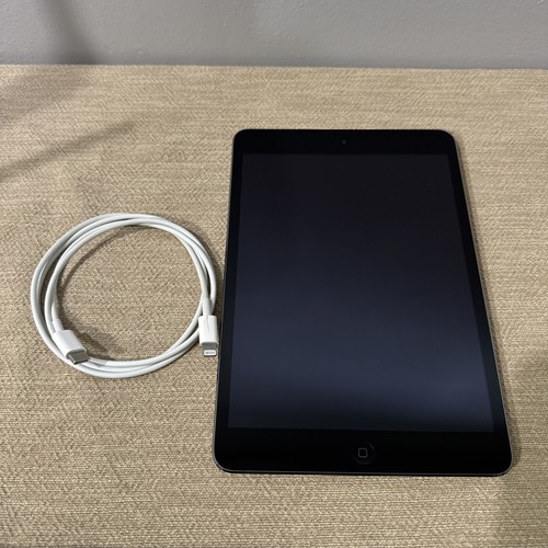 Apple ipad mini gb - mini, 16