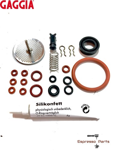 Gaggia titanium repair - titanium, kit