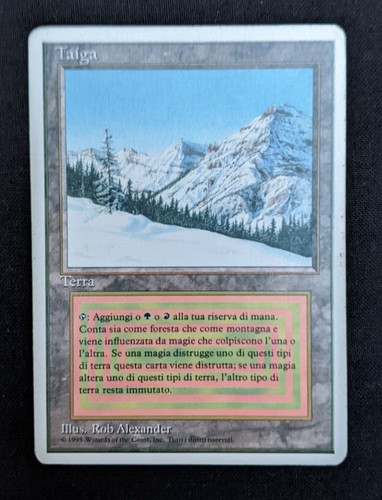 Magic mtg taiga fwb - 1x, italian