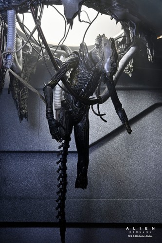 Neca alien romulus - alien, suspended
