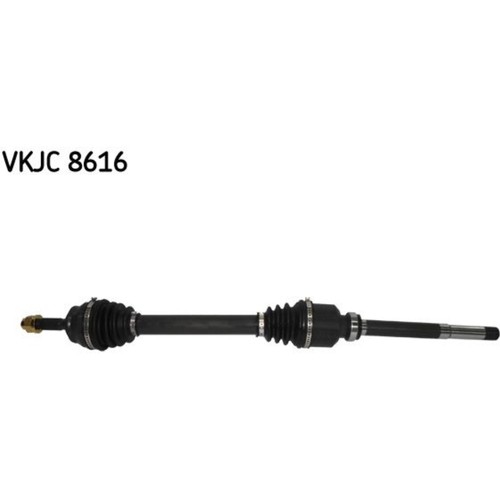 Albero motore skf anteriore - albero,