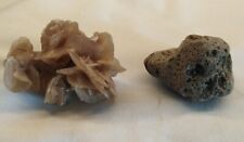Minerali Fossili Conchiglie = 1 Pietra Pomice + 1 Rosa deserto