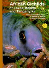 African Cichlids of Lakes