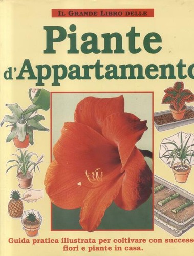 Jantra helmut grande libro - jantra,