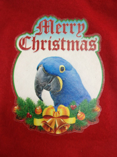 Sale hyacinth macaw parrot - ,