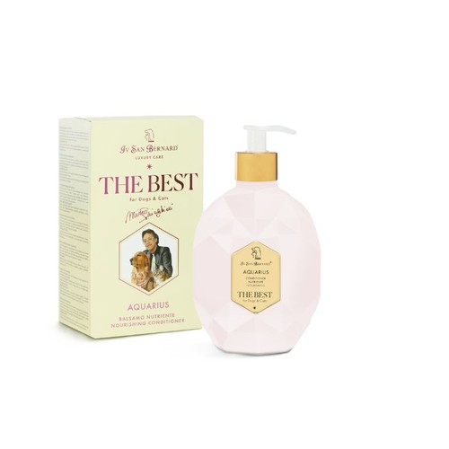 San bernard the best - bernard,