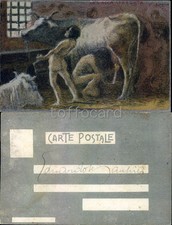 AUTORE CASCELLA-ABRUZZO V SERIE CREDENZE E RITUALI-la vacca stregata-C82-142