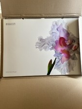 Calendario Pirelli 2004 Nick KnightI  Bjork Liv Tyler