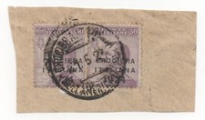 Regno 1924 - Crociera Italiana - 2 Valori da 50 cent. Usati su Frammento
