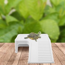  Piattaforma basking tartaruga