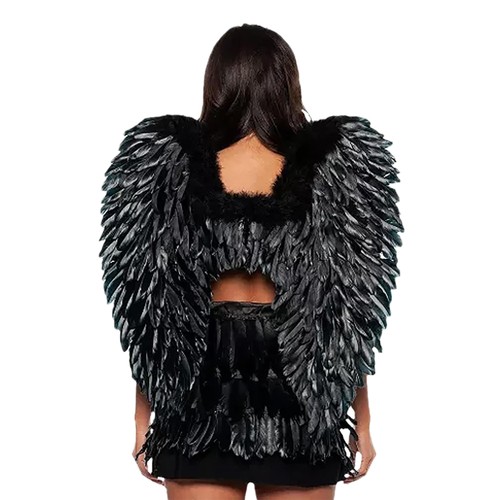 Accessorio costume adulto - , ali