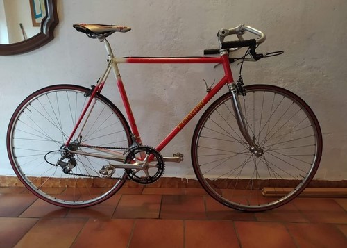 Bici corsa ferremi 55x55 - bici,