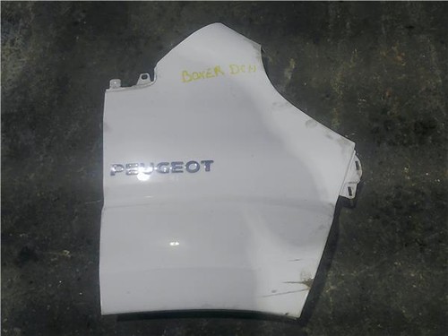 Aleta delantera derecha - aleta,