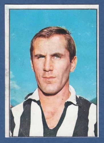 Figurina calciatori panini - figurina,