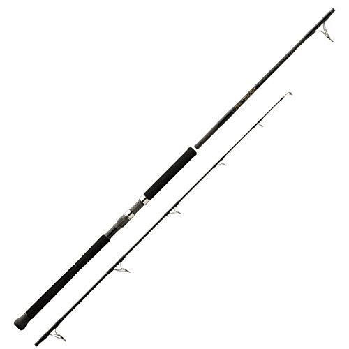 Tenryu canna spinning spike - tenryu, da