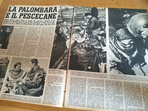 1955 liliana sereno palombara - sereno,