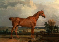 Dipinto ad olio dipinto a mano