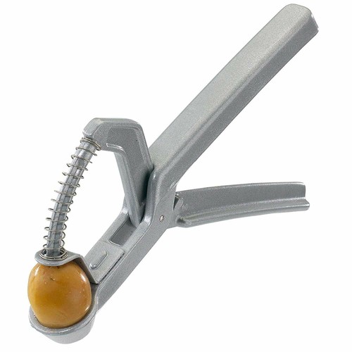 Westmark snocciola oliva - westmark,
