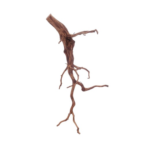 Radice acquario deco rosso - radice,