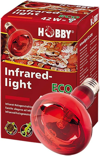 37580 luce infrarossi - luce,