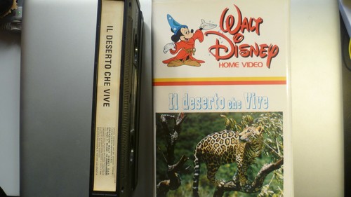 Videocassetta video 2000