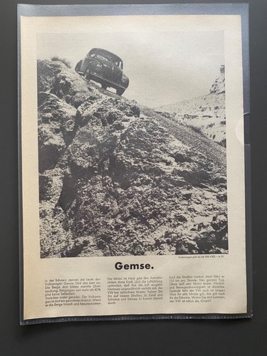 Gemse maggiolino volkswagen - vw,