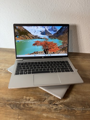 Portatile probook 445 - 445, g8