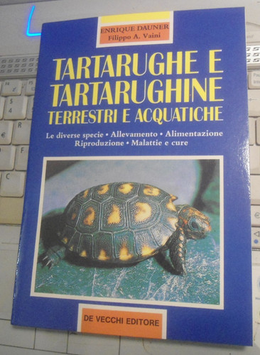 Tartarughe tartarughine - tartarughe, e