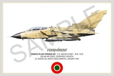 Panavia Tornado Squadron Print