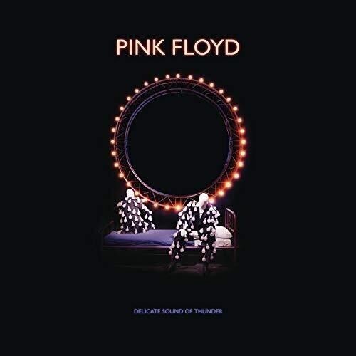 Pink floyd delicate sound of - floyd,