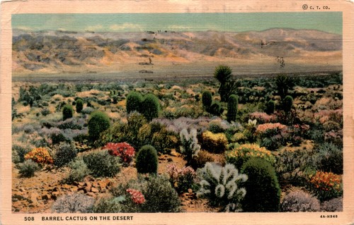 Ariz lortone - c., t.