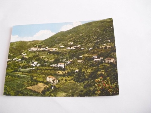 Savona alpicella 445 - alpicella, m.