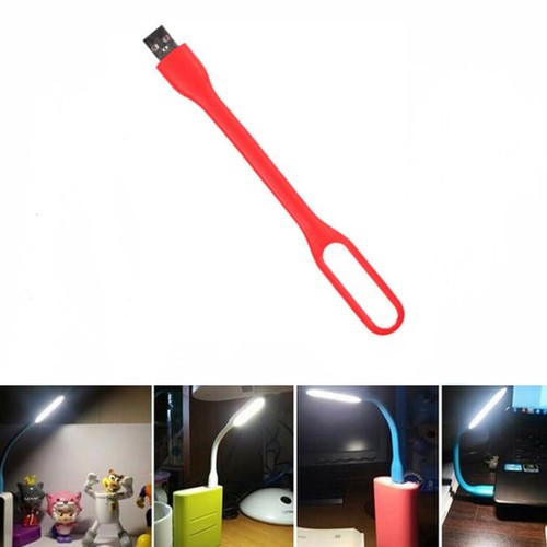 Lampadina lettura - lampadina,