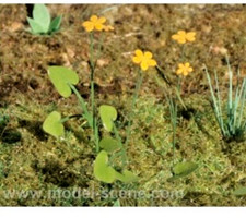 Elementi scenici Model Scene