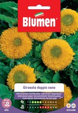 SEMI GIRASOLE DOPPIO NANO