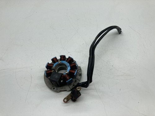 Statore alternatore magnete - statore,
