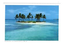 Cartolina Isola delle Palme dell'Atollo di Turneffe / Belize