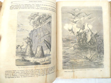 LIBRO ANTICO SCIENZE NATURALI ANIMALI ILLUSTRATO  INCISIONI IDEA REGALO 1869