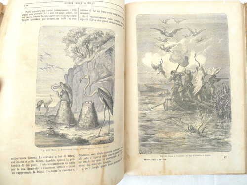 Libro antico scienze naturali - scienze,