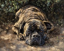 Bastone Corso Stampa Opaca