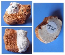 Animali famiglia gatto gatta