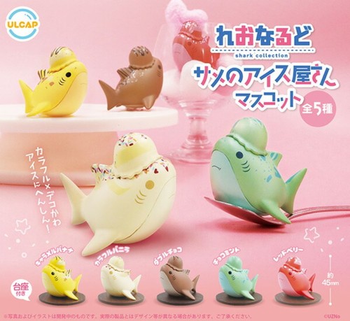 Reonardo shark gelateria - reonardo,