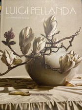 LUIGI PELLANDA a Cura di Mariastella Margozzi Edizioni56 Monografia Catalogo