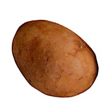 Patata in Marmo Dipinta a Mano