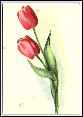 Cartolina epoca fiori - cartolina, d'epoca
