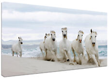 Quadro Moderno Cavalli Bianchi cm.120x60 Stampa Tela Arredamento Casa Design