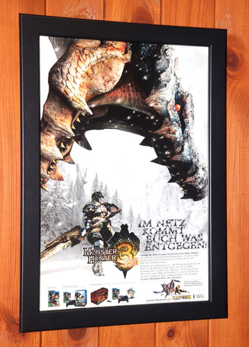Monster hunter tri - hunter,