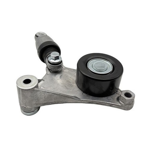 Gruppo tenditore cinghia auto